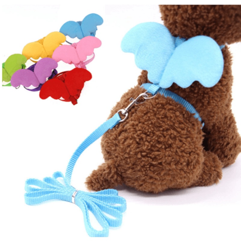 Little Angel Wings Pet Leash