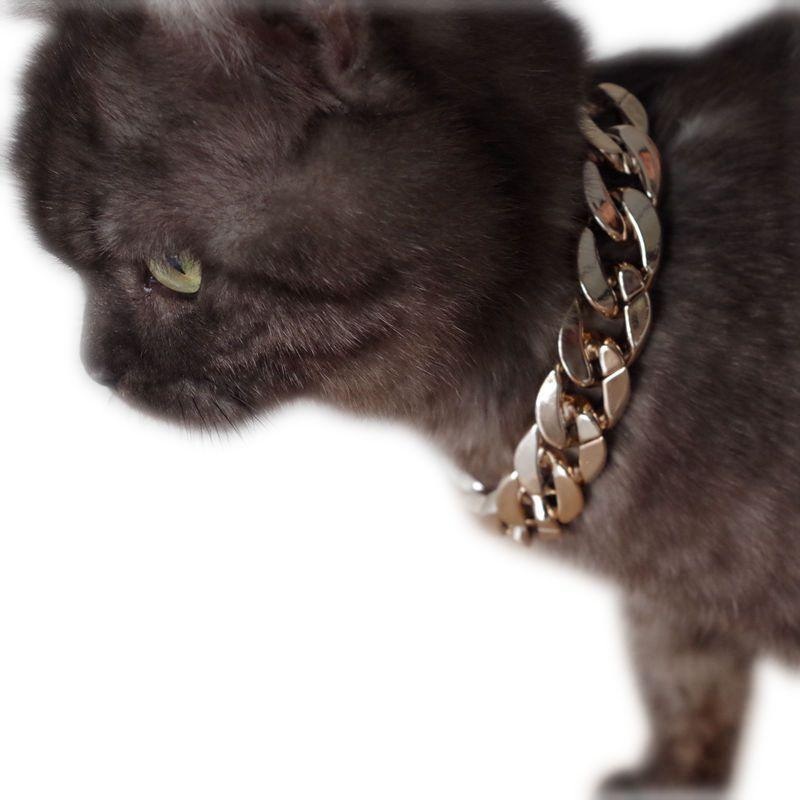 Luxury Gold-Plated Pet Dog Necklace: The Perfect Fashion Accessory For Your Furry Friend
