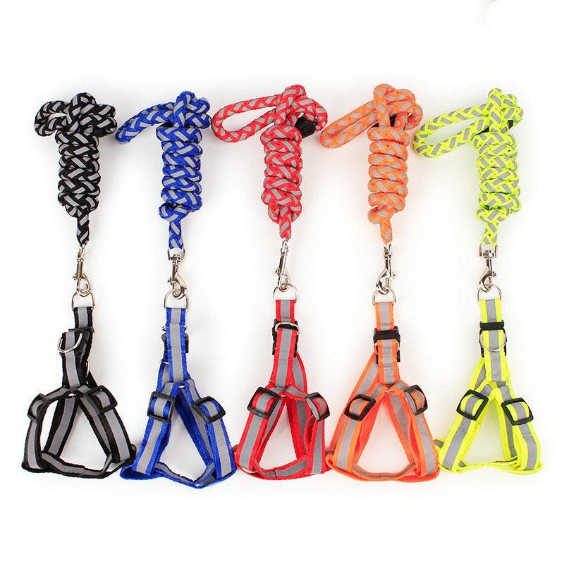 Night Glow Braided Traction Leash With Reflective Chest Strap