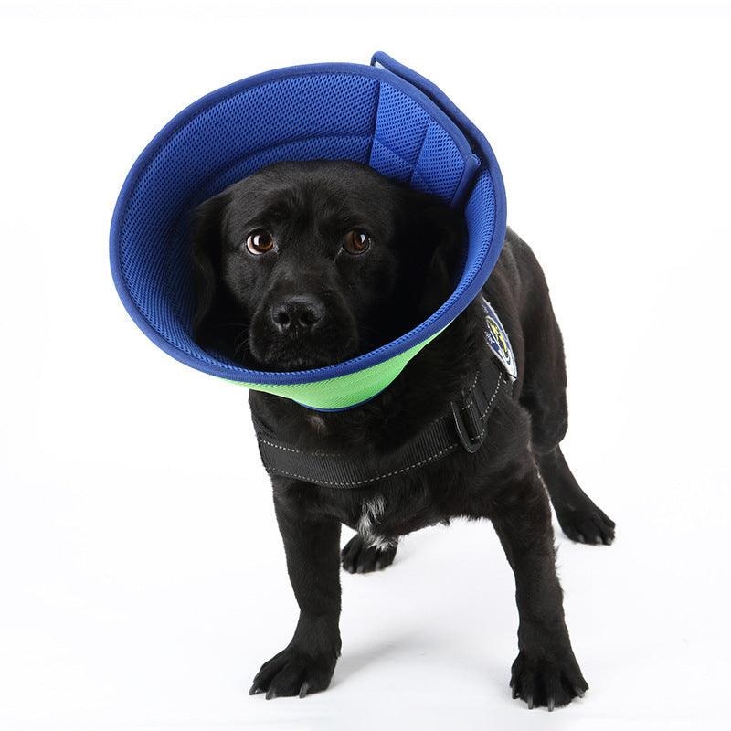 Pet Recovery Shield: Transparent Anti-Bite Collar For Dogs And Cats