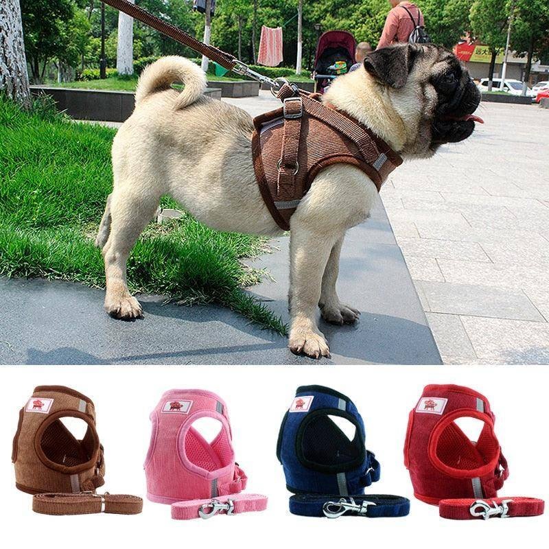 Reflective Braided Dog Chain Chest Strap