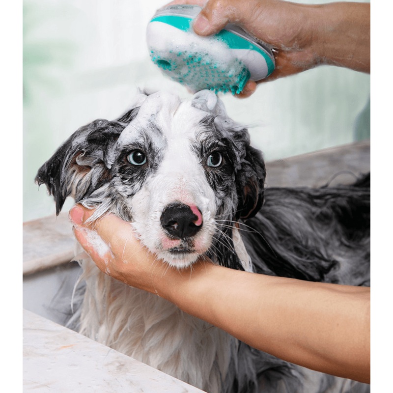 The Luxepaws Spagroom: 2-In-1 Pet Bath Massage Comb