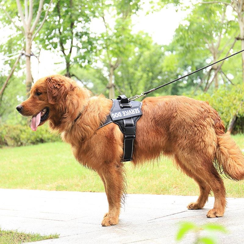 Ultimate Comfort Reflective Pet Chest Strap