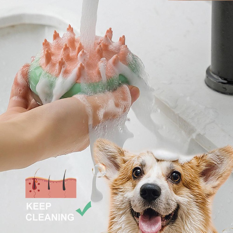 Ultimate Pet Care Companion: The Perfect 2-In-1 Grooming Brush
