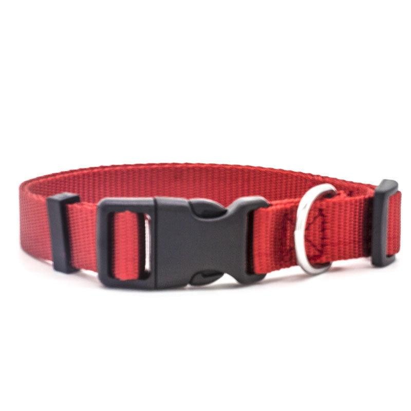 Ultra-Strong Nylon Dog Collar: The Perfect Traction Companion