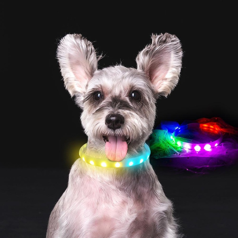 Usb Rechargeable Led Dog Collar: Keep Your Pet Safe And Stylish At Night!