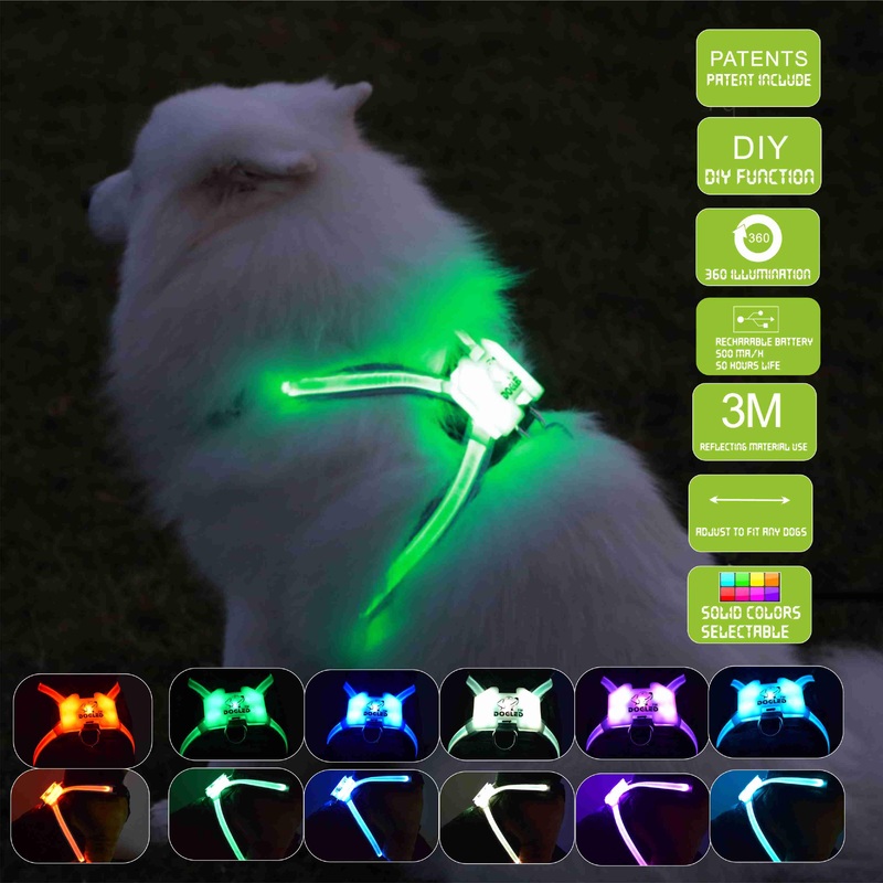 Usb Rechargeable Led Pet Collar - Illuminate Your Dog's Style!