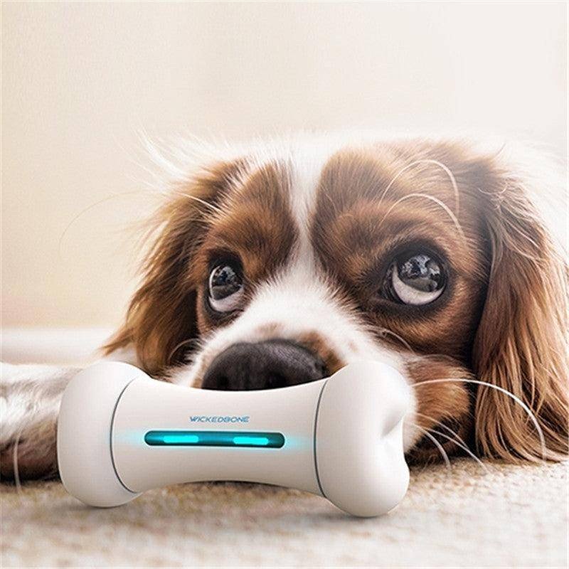 Introducing The Smart Chew Buddy - The Ultimate Interactive Toy For Your Furry Friend!