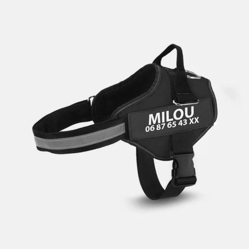 Multicolor Customizable Pet Leash: The Perfect Fashion Accessory For Your Furry Friend
