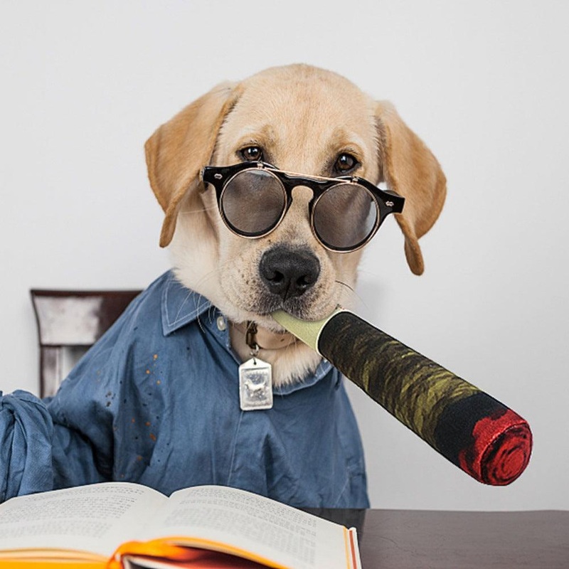 Playful Pooch Prankster: Plush Dog Toy With Sound