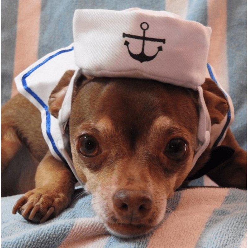 Adorable Nautical Pet Costume Set - Perfect For Halloween Cosplay!