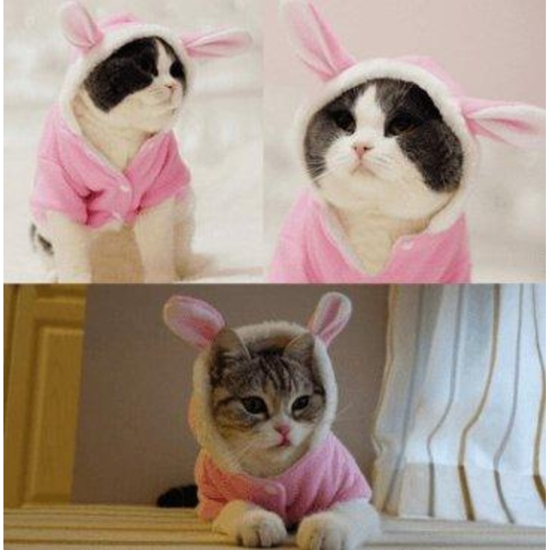 Cozy Bunny Cat Hoodie - Warm And Adorable Pet Cat Clothes
