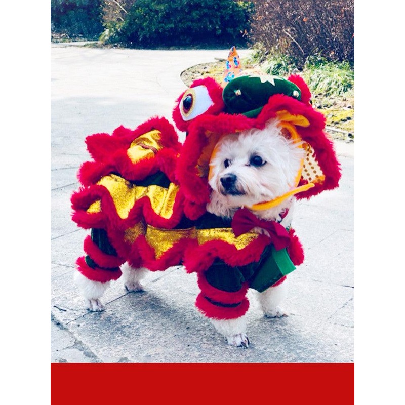 Funny Lion And Horse Pet Costume - Perfect For A Hilarious Cat And Dog Dance Party!