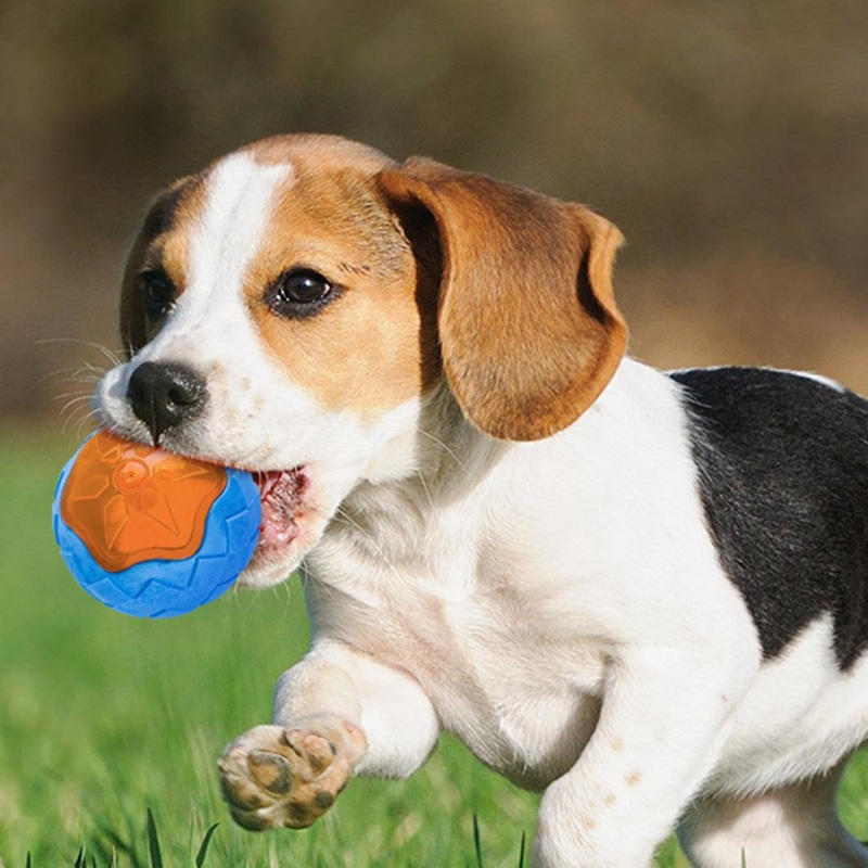 Glowing Audible Dog Toy Ball - Floatable, Teeth-Grinding Pet Toy