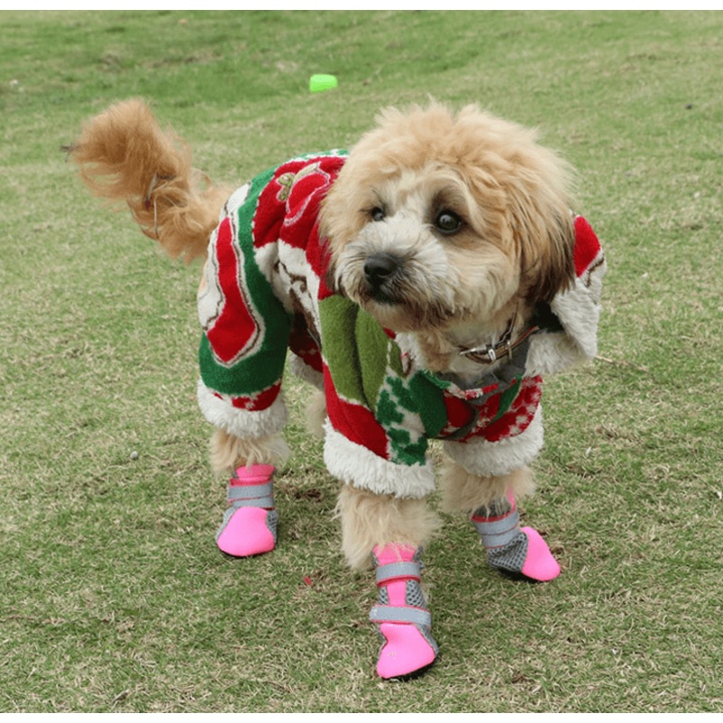 Luminous Comfort Stride: The Ultimate Dog Walking Shoes