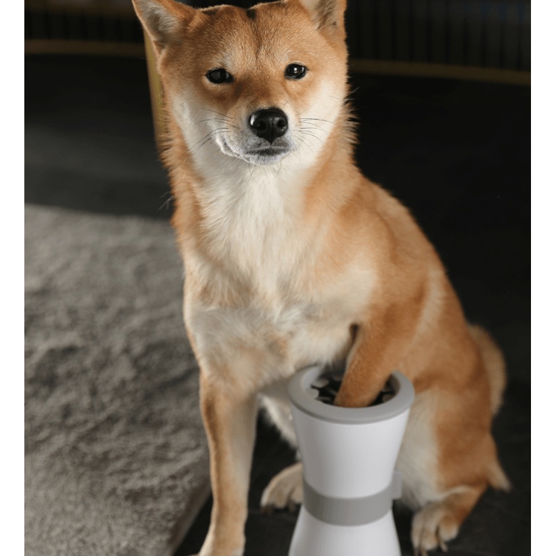 Pawfresh: The Ultimate Pet Paw Spa