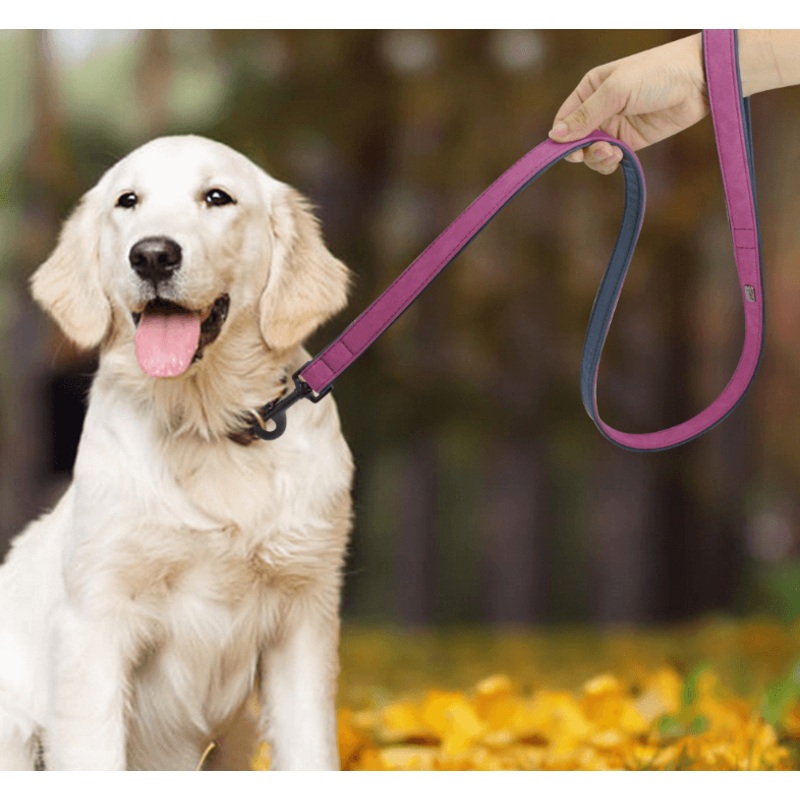 Premium Leather Dog Leash - Stylish And Durable Pet Traction Belt