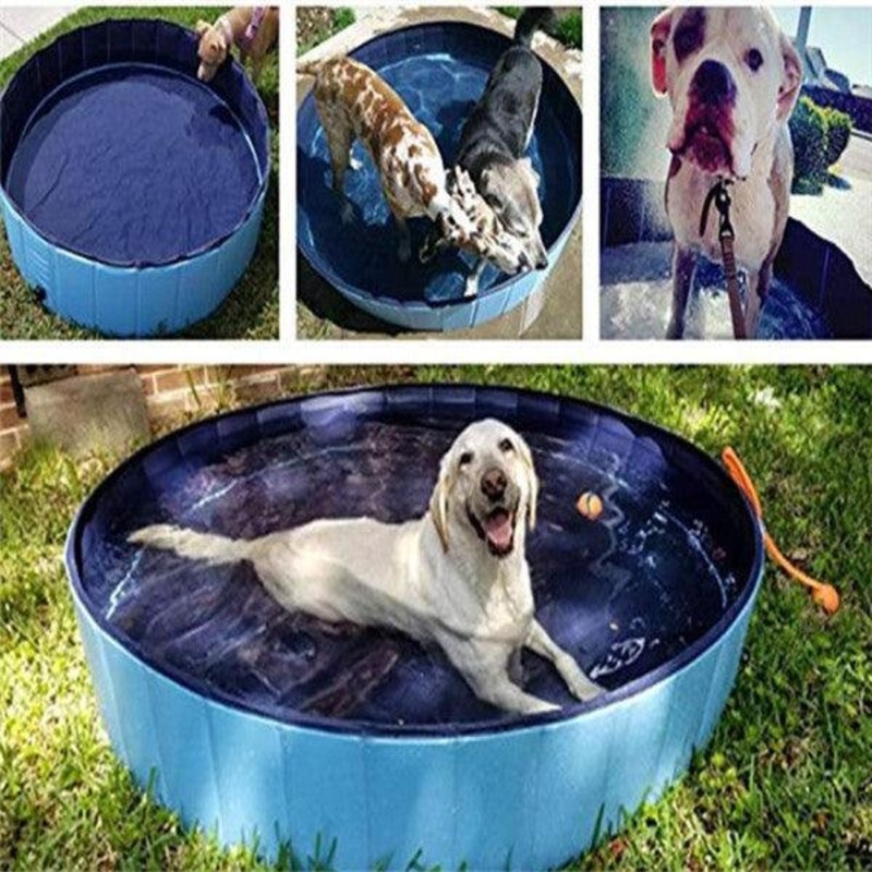 Aquapaws