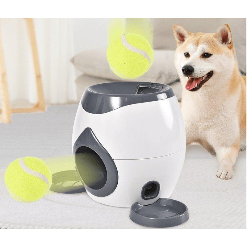 Automatic Pet Training And Feeding System