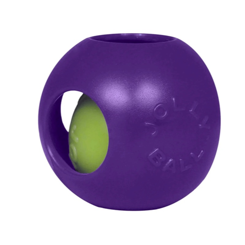 Jolly Pets Teaser Ball 10" Purple