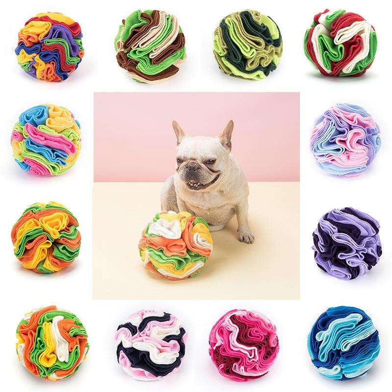 Pawsome Sniff 'N Seek Dog Enrichment Ball