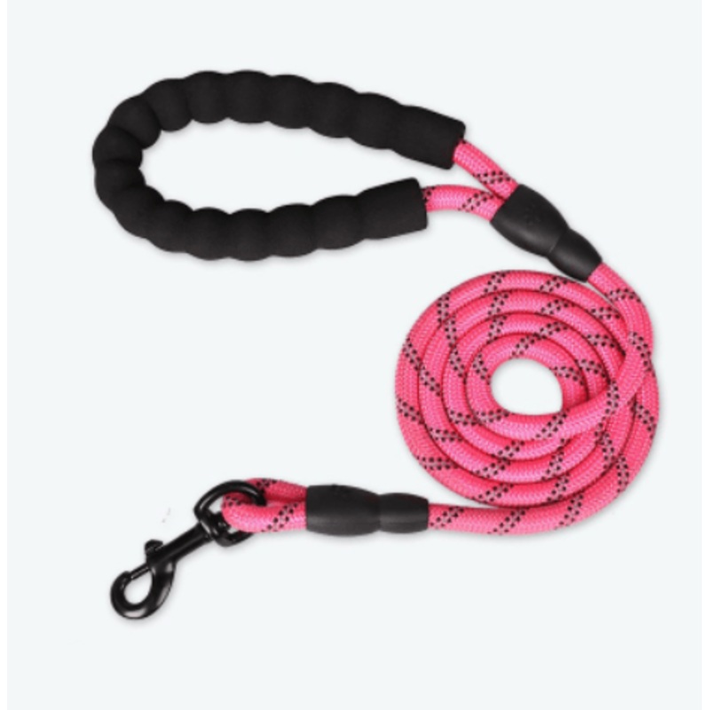Reflective Nylon Dog Leash - Enhance Safety And Style On Walks
