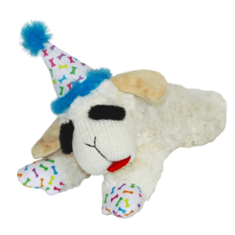 Multipet Lamb Chop with Birthday Hat Plush Dog Toy, Blue Medium
