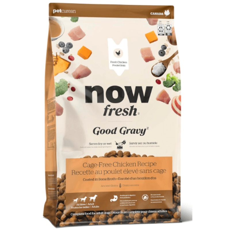 Now Good Gravy Bone Broth Coated Dog Food With Grains, Chicken 22lb