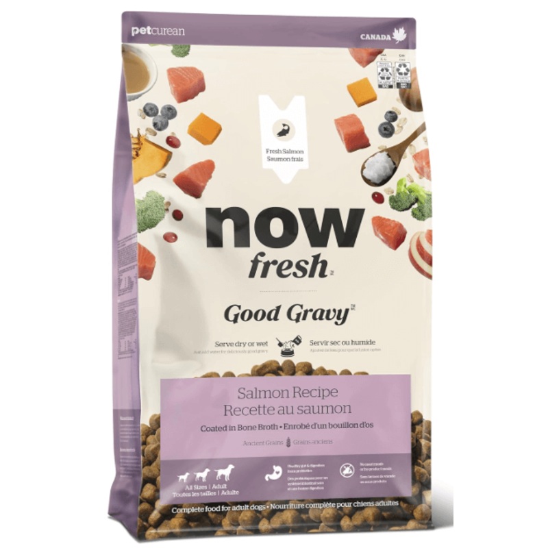 Now Good Gravy Bone Broth Coated Dog Food With Grains, Salmon 22lb