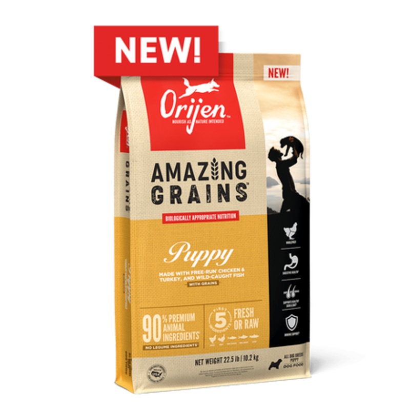 Orijen Amazing Grains Puppy Recipe Dog Food