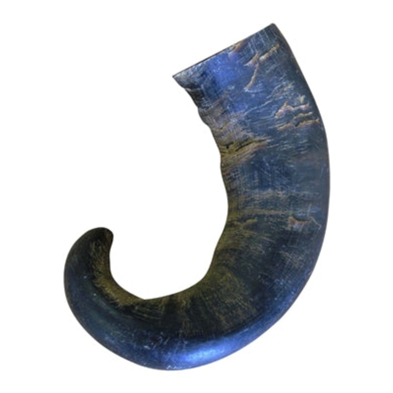 QT Buffalo Hornz, Medium