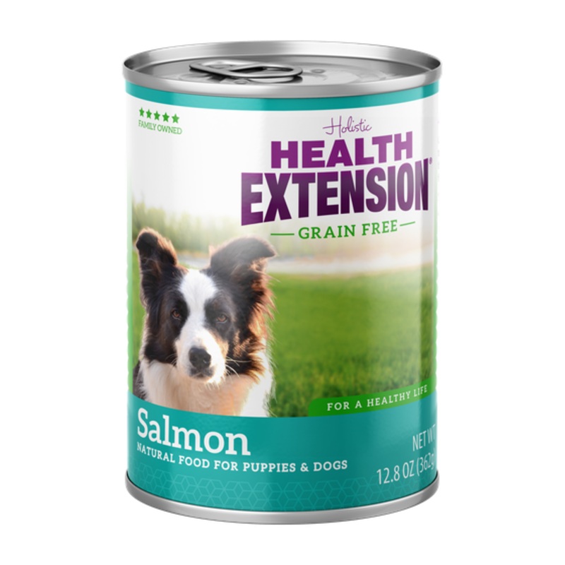 Holistic Health Extension Grain Free Salmon Canned Dog Food, 12.5oz