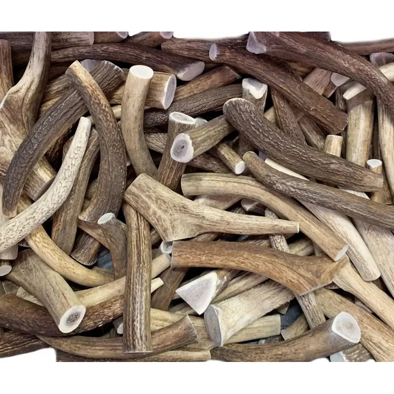 Happy Dog Elk Antlers