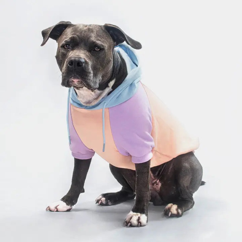 Spark Paws - Cotton Candy Dog Hoodie/Sweat  capuche barbe  papa pour chien