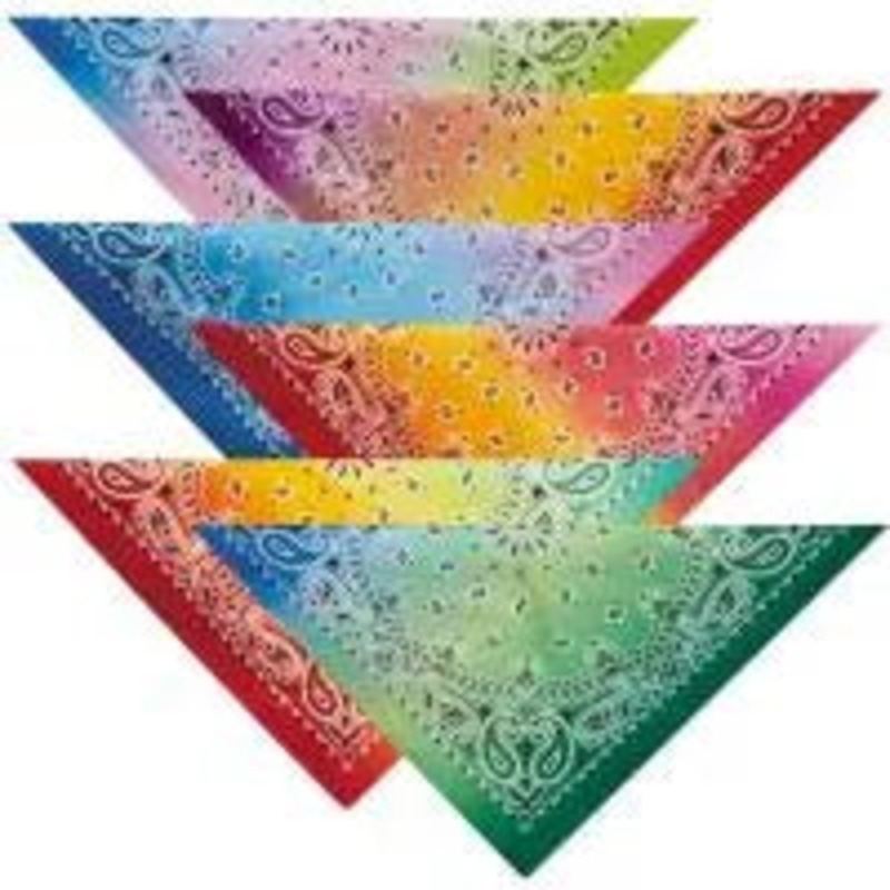 Aria - Paisley Bandanas/Bandanas Cachemire