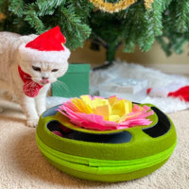 Injoya - Cat Puzzle Snuffle Toys
