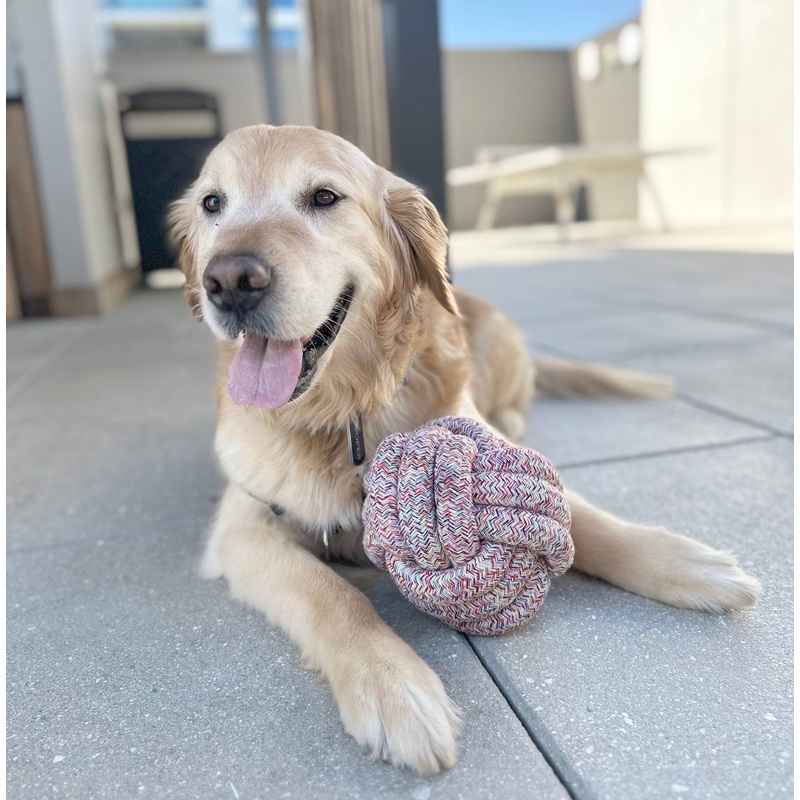 Knotty Pawz - Handmade Large Rope Ball/Grande boule de corde faite  la main