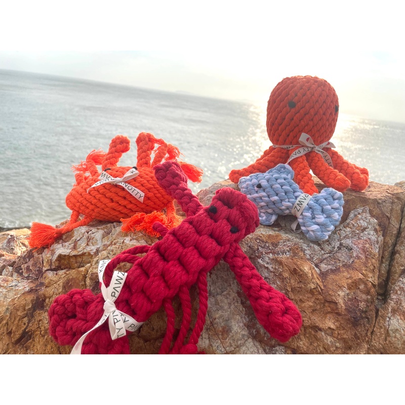 Knotty Pawz - Ocean Pals Rope Toys/Jouets en corde Ocean Pals