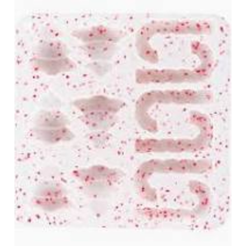 Messy Mutts - Silicone Holiday Treat Molds/Moules en silicone pour friandises de Nol