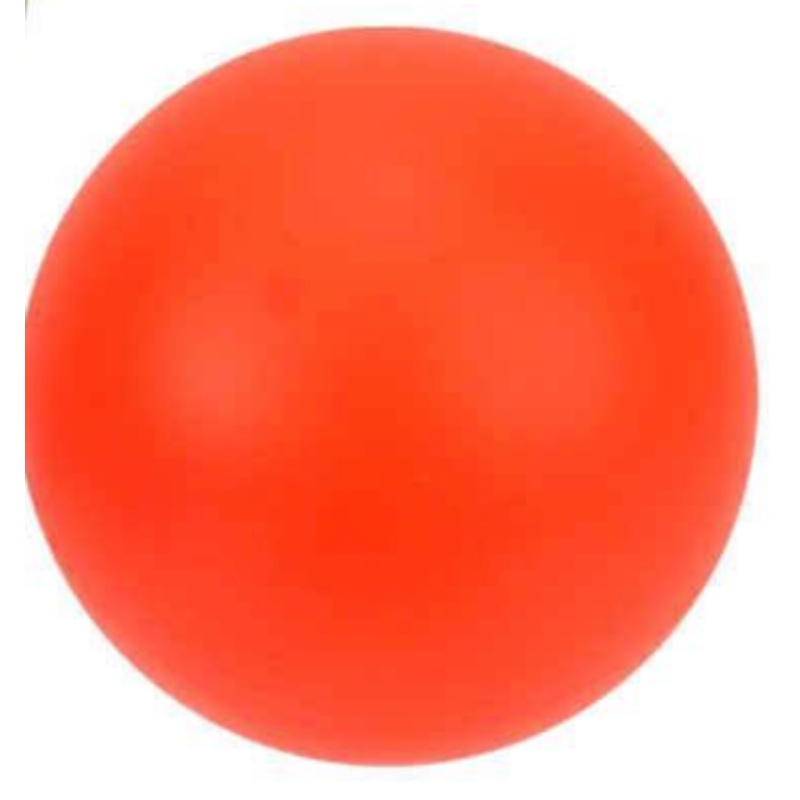 Orange Road Hockey Ball/Balle de hockey orange
