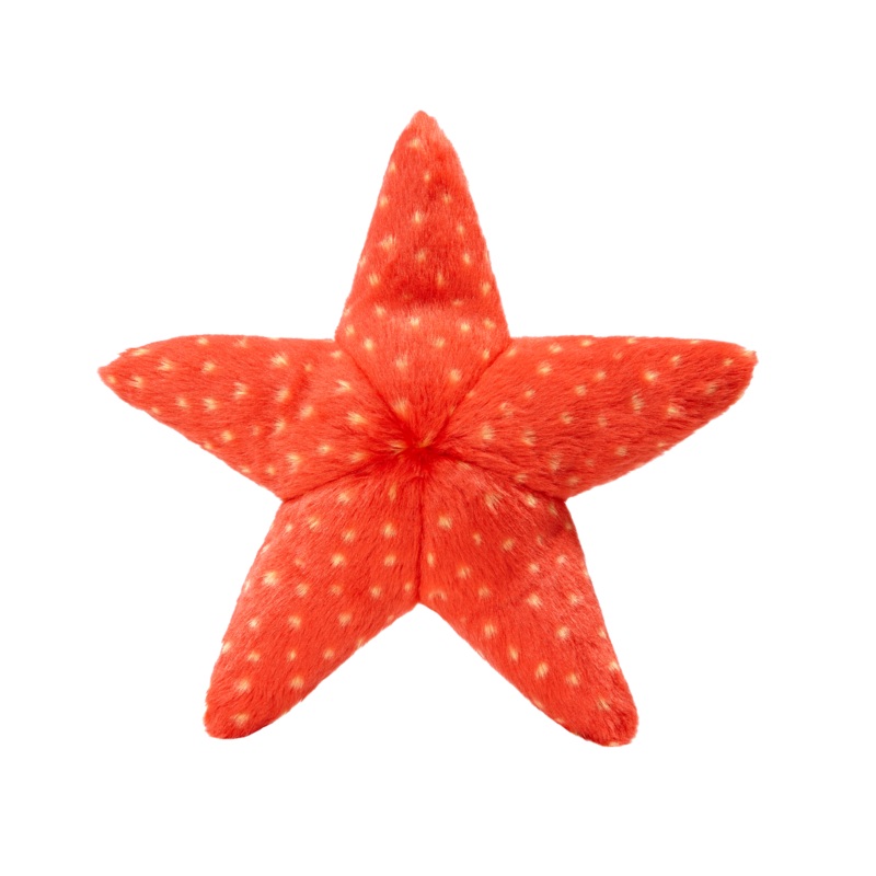 Fluff & Tuff - Medium Ziggy Starfish