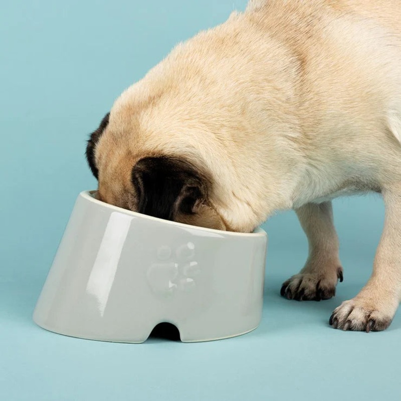 Scruffs - Icon Flat Faced, Slanted, Dog Bowl - Light Grey
