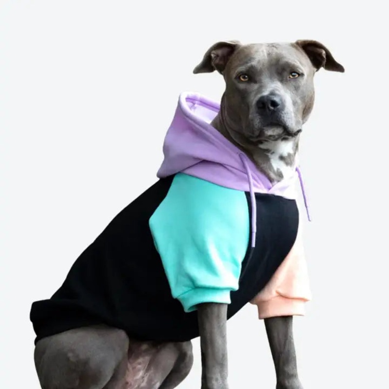 Spark Paws - Cyber Punk Dog Hoodie/Sweat  capuche Cyberpunk pour chien