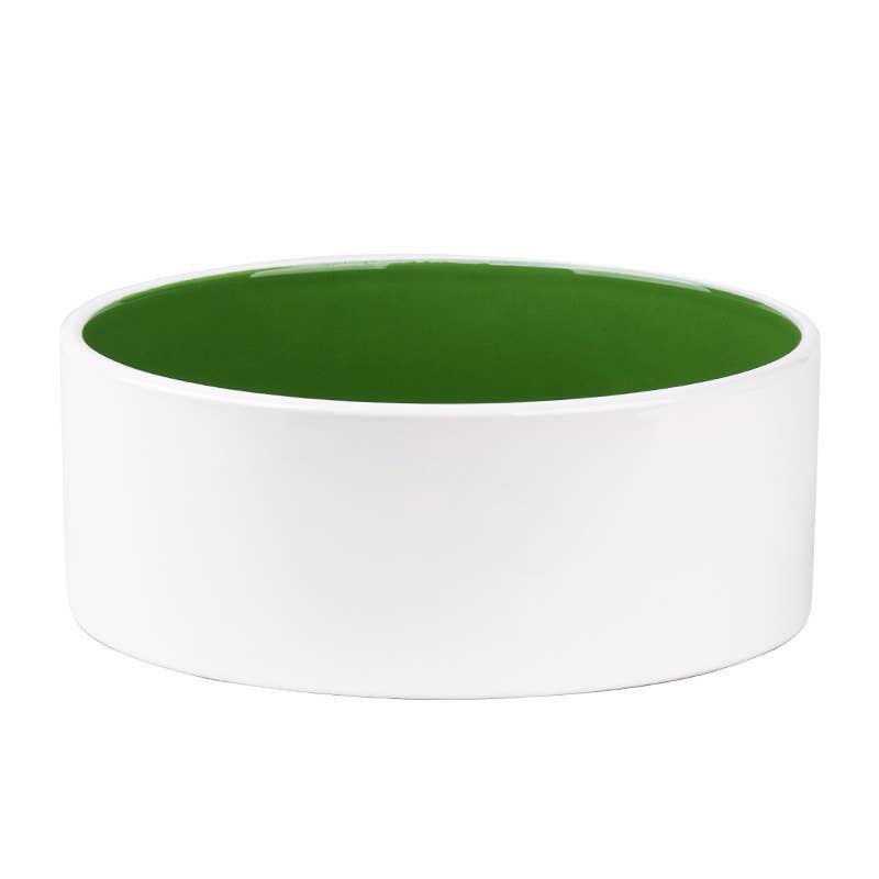 Splash Green Pet Bowl