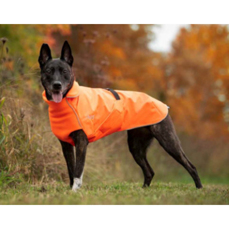 Chilly Dogs - Northern Blazer in high-visibility Blaze Orange