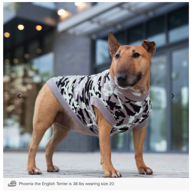 Canada Pooch - Glow-In-The-Dark Sweater