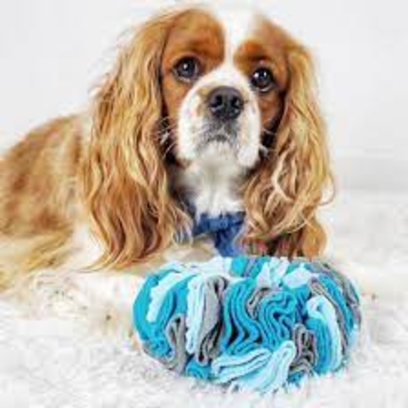 foufouBRANDS fouFIT Snuffle Ring Dog Toy