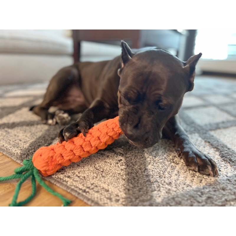 Knotty Pawz - Handmade Large Carrot Rope Toy/Jouet en corde de carotte de grande taille fait  la main