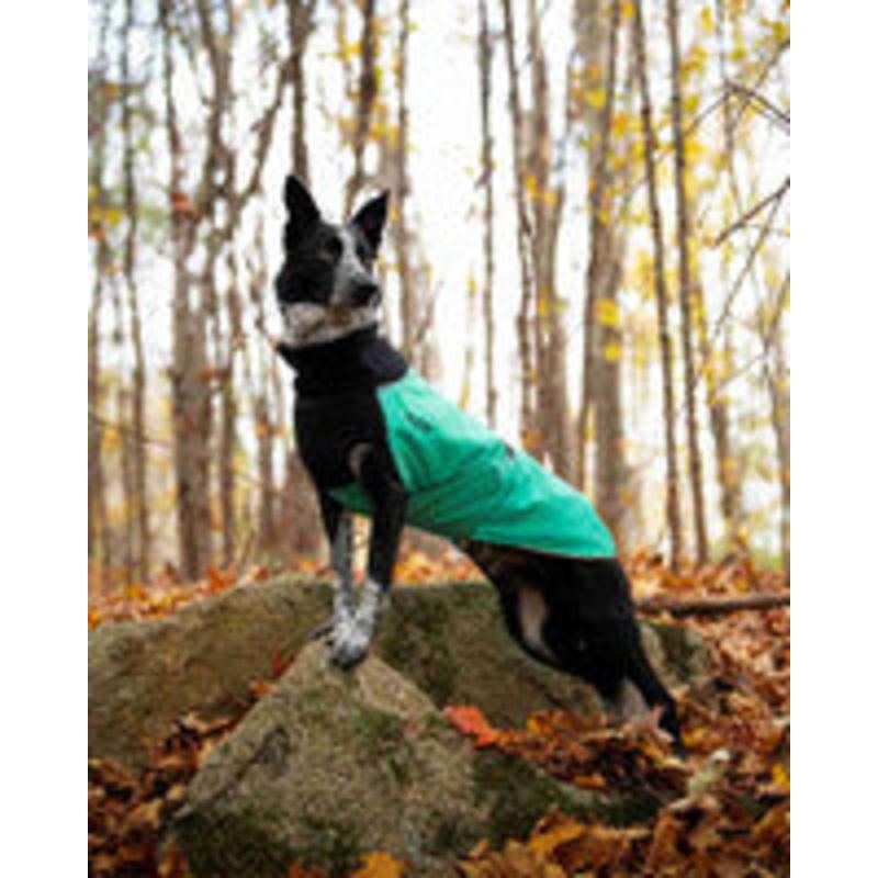 Chilly Dogs - Great White North Winter Coat (Standard Sizes) Special Editions/Manteau d'hiver Great White North (tailles standard) ditions spciales