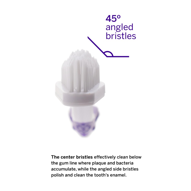 Petsmile Professional Dental Tools